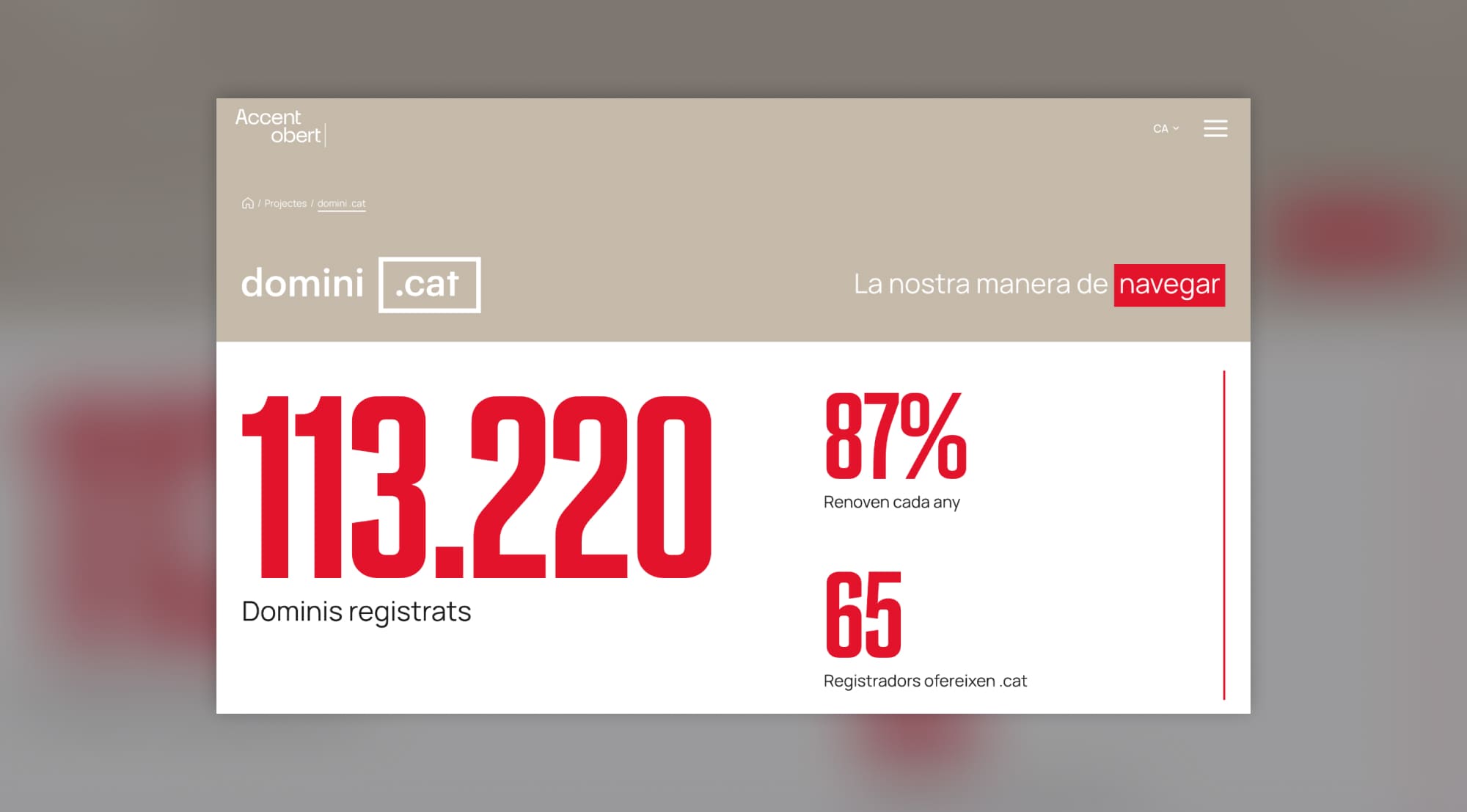 Detall de seccions de contingut d'Accent Obert