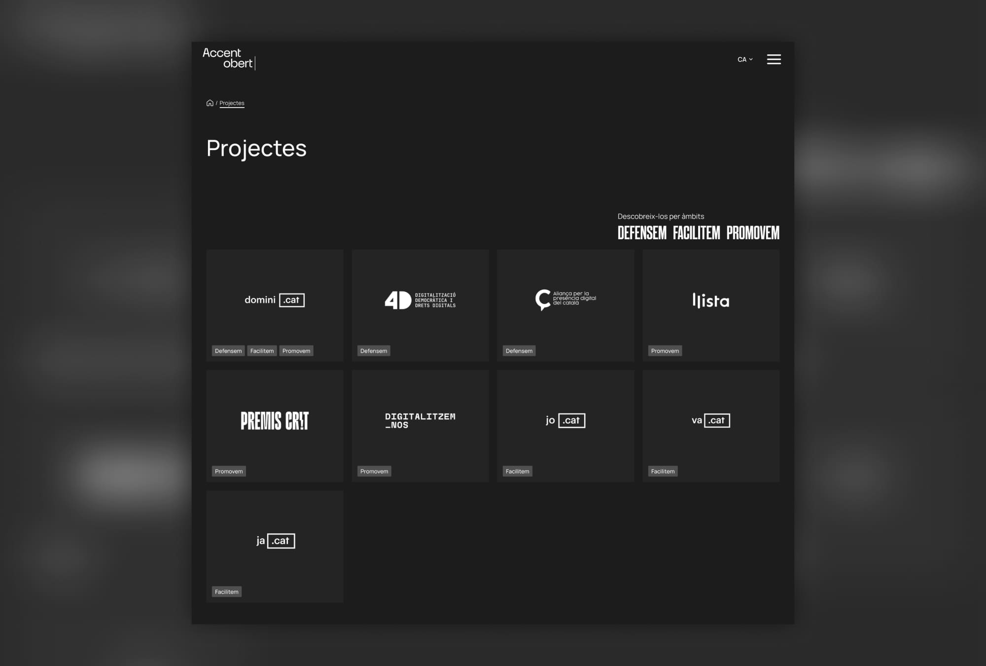 Captura de la secció de projectes i impacte d'Accent Obert