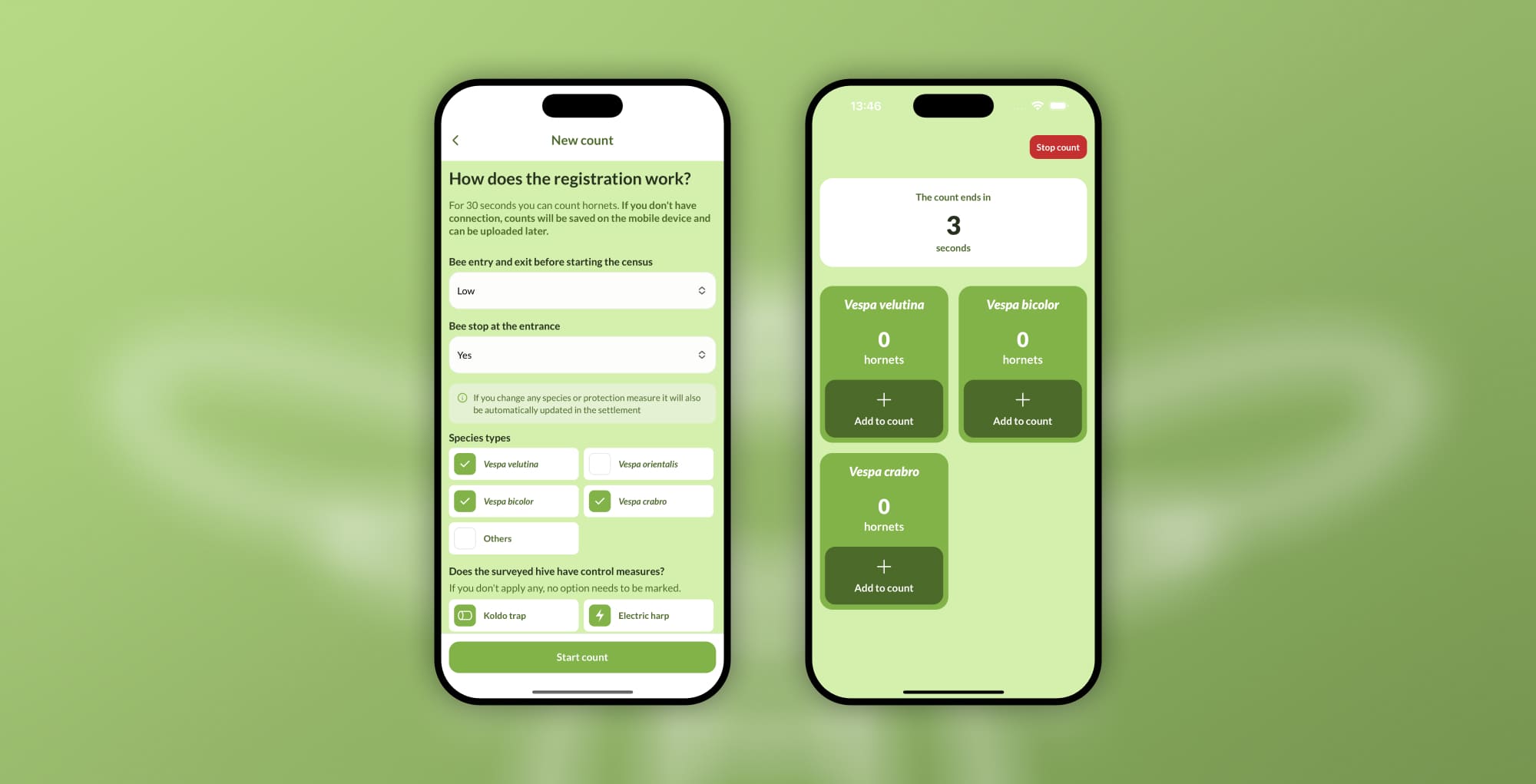 Detall de visualització de dades a iHornets