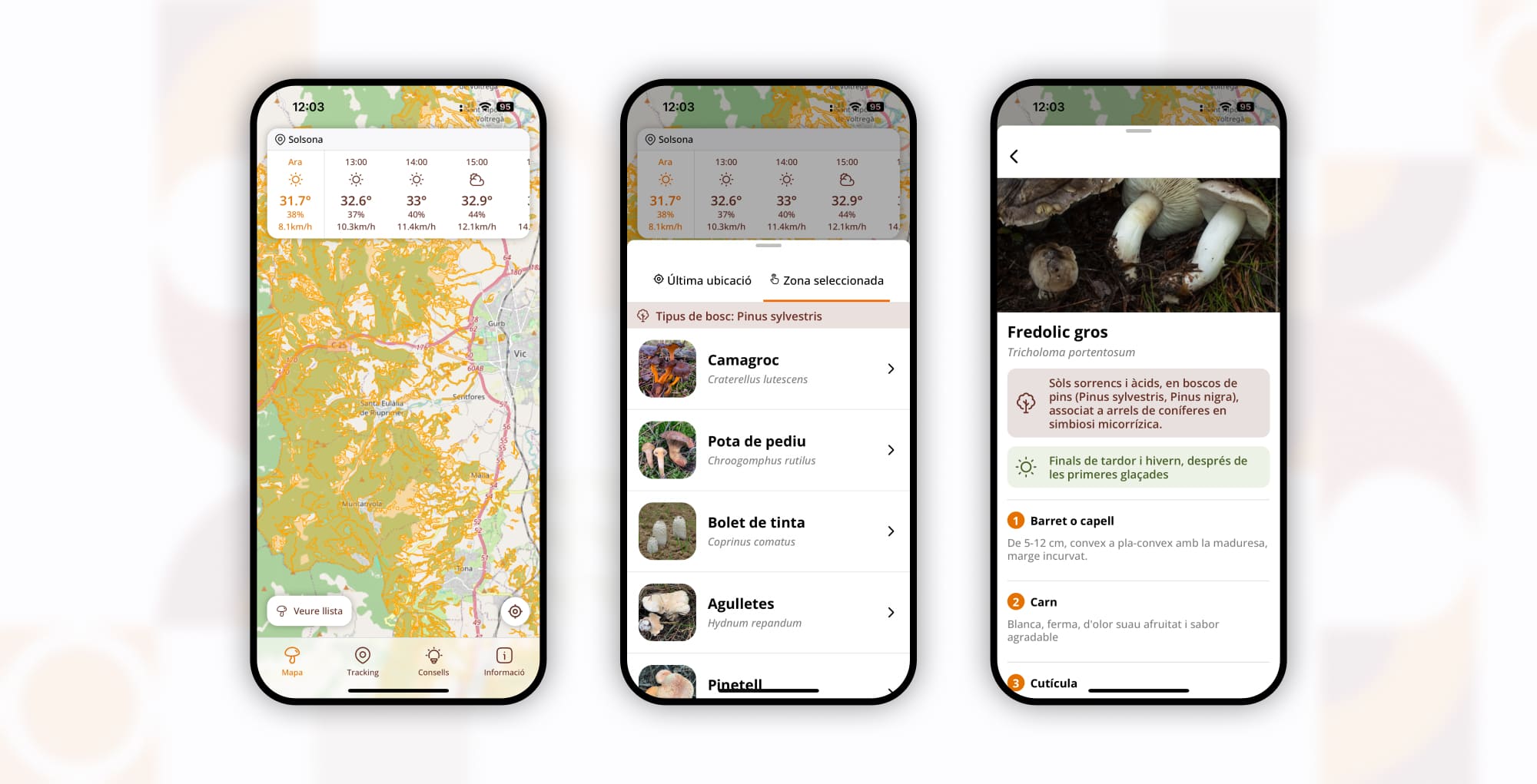 Captura de l'app Mycotour al bosc
